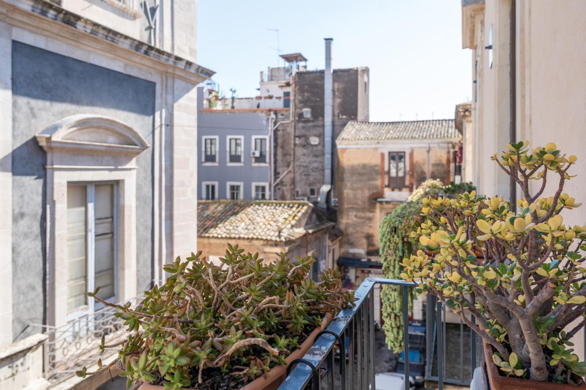 Amenano Apartment *